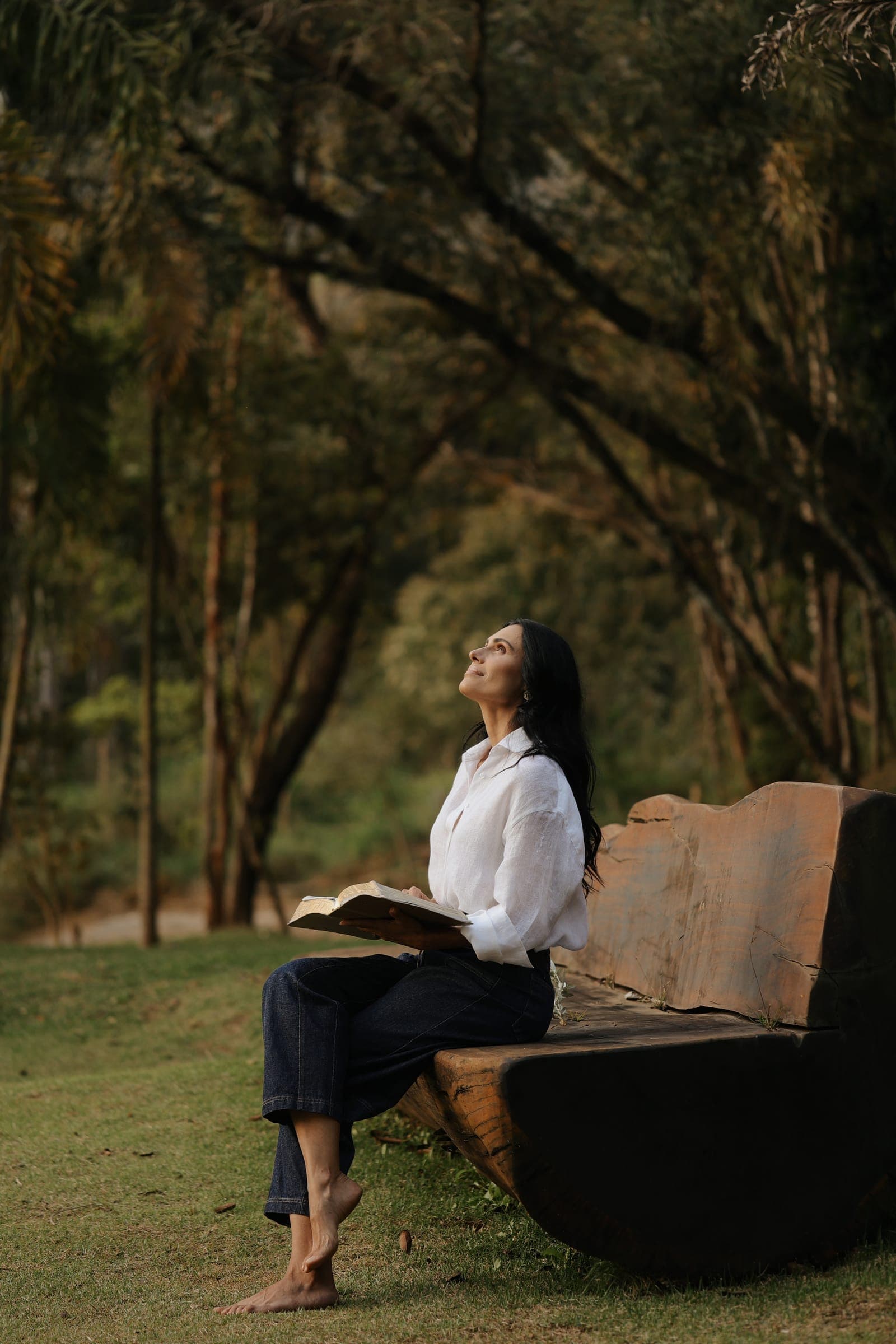 Mulher sentada em um banco de madeira, lendo um livro sob a luz do sol